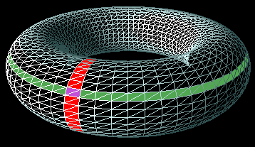 toroid wireframe